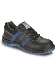 COBRE 2.0 S3 SRC