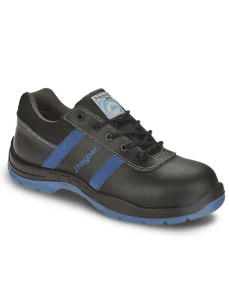 COBRE 2.0 S3 SRC