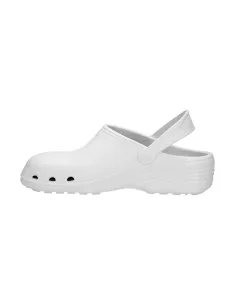 V-PRO VIRDS OB E SRC