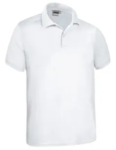 Polo Kentucky
