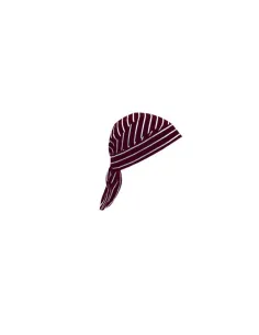 Velilla gorro cocina macisry 2
