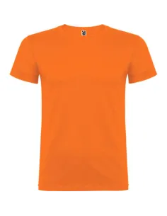 Camiseta beagle Roly 2