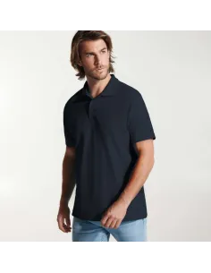 Polo austral Roly