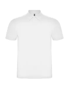 Polo austral Roly 2