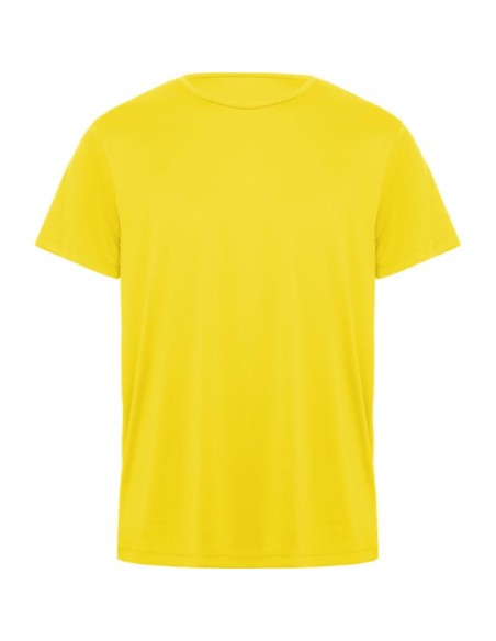 camiseta daytona Roly
