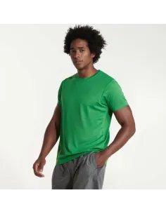 Camiseta camimera Roly