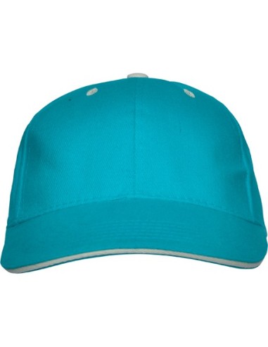 Roly Gorra Panel