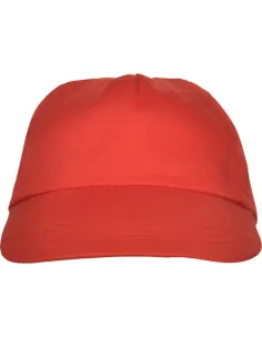 Roly Gorra básica 2