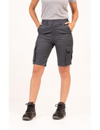 Adversia bermuda papua