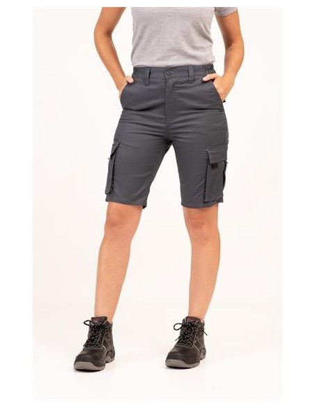 Adversia bermuda papua Adversia bermuda papua