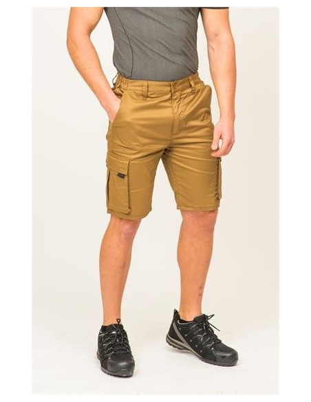 Adversia bermuda papua