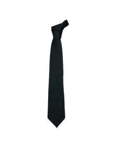 Corbata plana raya 2