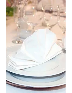 Servilleta de tela ICECREAM para restaurantes y bares