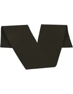 Banda University de Valento 2